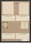Auricula amphitrites Castr. (de-Toni-Nr.: Genus 31, Species 1374) Zeichnungen Sammlung Grunow Nr. 2607 (NHMW-BOT-W0369833)